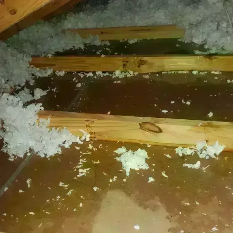 Best Attic Water Damage Service in Franklin County, MS